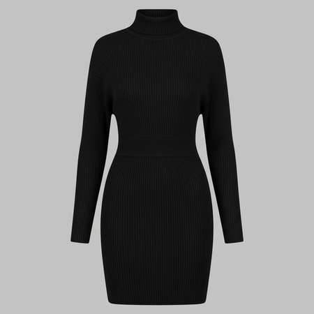 Aitana Turtleneck Ribbed Dress | Women's Plus Size Dress