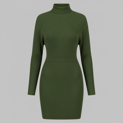 Aitana Turtleneck Ribbed Dress | Women's Plus Size Dress