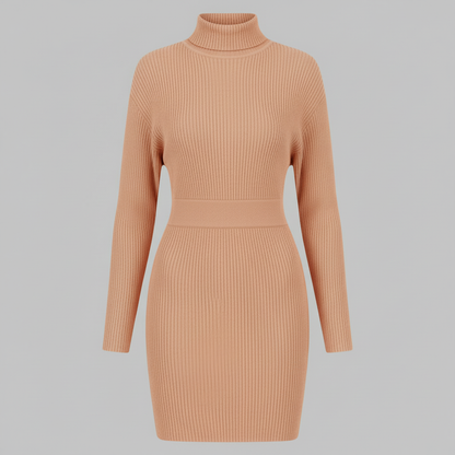 Aitana Turtleneck Ribbed Dress | Women's Plus Size Dress
